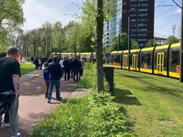 RTV Utrecht / Evie Westland